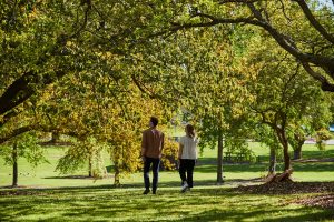 Penshurst Botanic Gardens